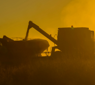 Carlos Alberto Arges Junior explica o processo de exportação agrícola, desde registros até logística, para garantir acesso seguro ao mercado internacional.