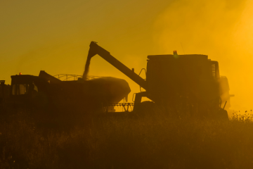 Carlos Alberto Arges Junior explica o processo de exportação agrícola, desde registros até logística, para garantir acesso seguro ao mercado internacional.