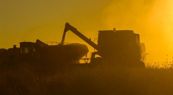 Carlos Alberto Arges Junior explica o processo de exportação agrícola, desde registros até logística, para garantir acesso seguro ao mercado internacional.