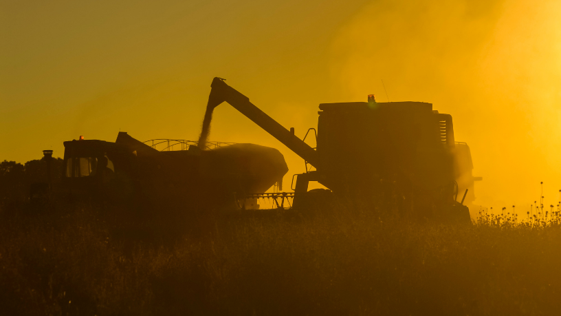 Carlos Alberto Arges Junior explica o processo de exportação agrícola, desde registros até logística, para garantir acesso seguro ao mercado internacional.