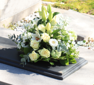 Tiago Oliva Schietti analisa práticas sustentáveis nos serviços funerários com foco em inovação.