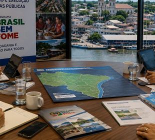 O Impacto das Políticas de Segurança Alimentar no Desenvolvimento Socioeconômico de Municípios Amazônicos