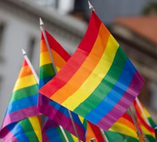 Parada LGBT de São Paulo: O Impacto da Memória Histórica e a Luta por Direitos na Participação Política