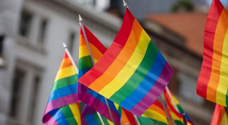 Parada LGBT de São Paulo: O Impacto da Memória Histórica e a Luta por Direitos na Participação Política