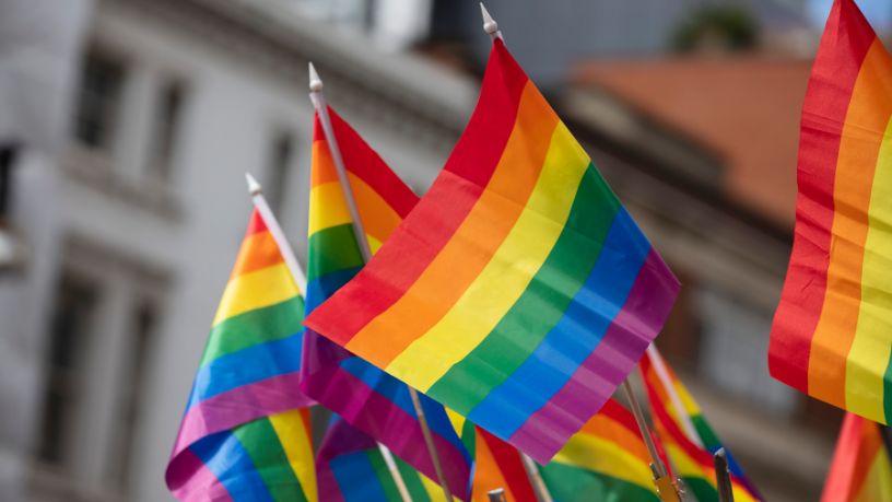 Parada LGBT de São Paulo: O Impacto da Memória Histórica e a Luta por Direitos na Participação Política